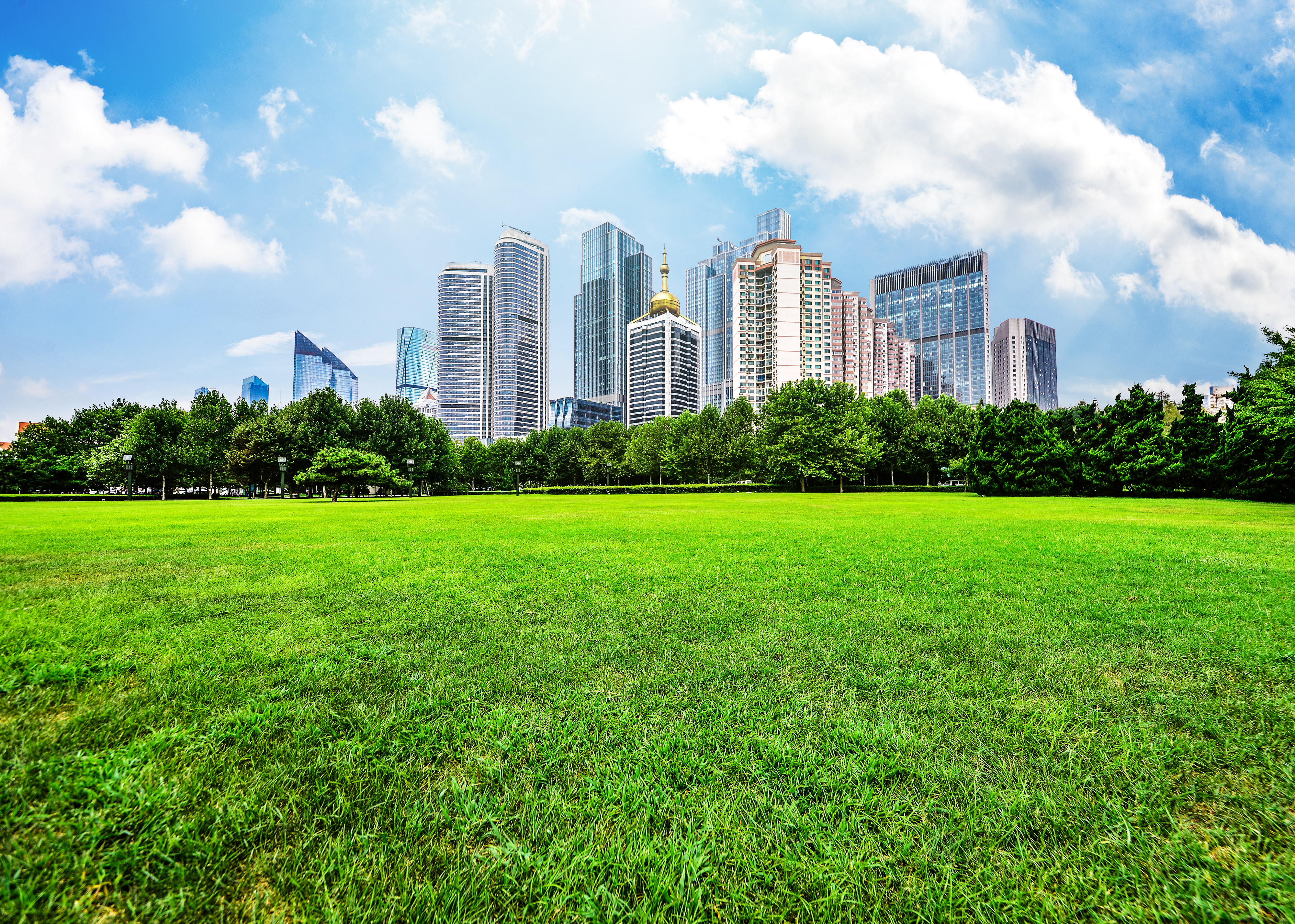 Skyline Towers